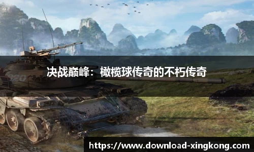 决战巅峰：橄榄球传奇的不朽传奇